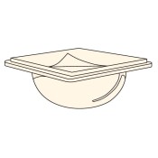 Display Caster