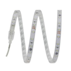 LED Lights